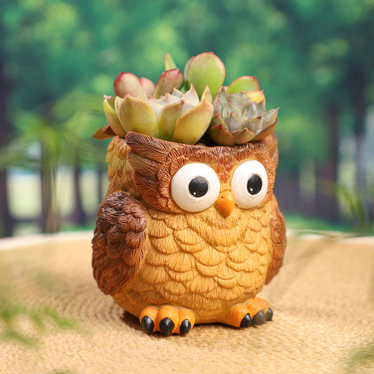 Funny Eyes Owl Succulent Planter - Dazed & Goofy Resin Bird Pot, Whimsical Desk Decor for Plant Lovers