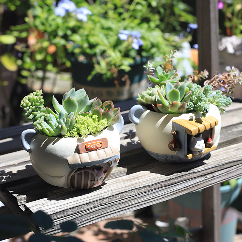 Two small garden pots with succulents on a wooden surface, surrounded by other plants.